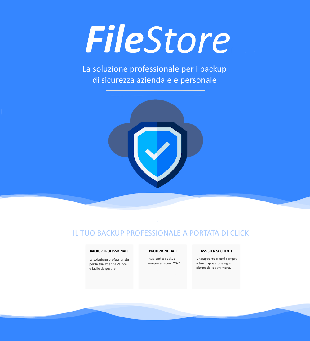 Cloud FS 30